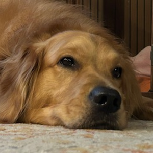 Fundraising Page: Eileen Orzech